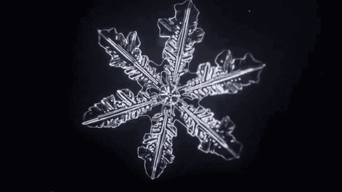 雪花珠宝让你美丽不冻人瓦力棋牌冬季浪漫必备!(图1) 雪花珠宝让你美丽不冻人瓦力棋牌冬季浪漫必备!(图1)